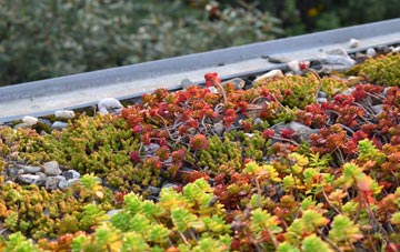the cost of Heronston green roof installation