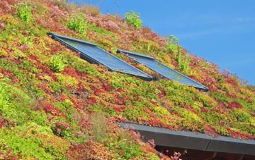 Heronston living roof systems