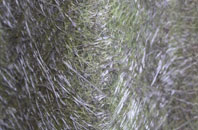 Heronston fibreglass roof work